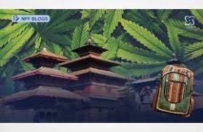 Paper: Current Nepalese Legislative Framework, Pharmacology and Chemistry of Medicinal Cannabis: A Comprehensive Review