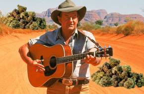 Outlaw Country!  Police allege $27,000 cannabis haul found along the road to Gundagai