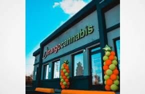 USA: Workers begin contract negotiations with Mango Cannabis