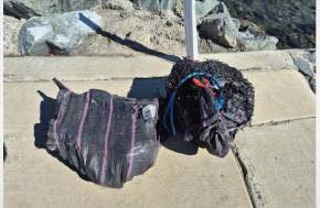 $6 million of cocaine found near burnt-out truck at boat ramp in Whitsundays