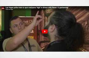 Las Vegas police train to spot marijuana ‘high’ in drivers with Planet 13 partnership