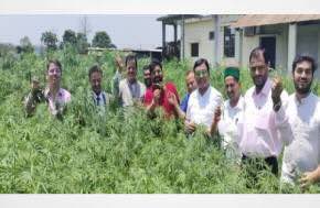 India: Himachal Pradesh Clears Industrial Hemp Cultivation