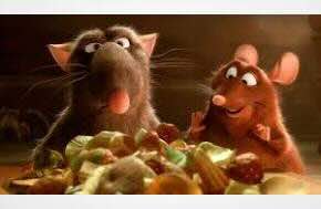 Rats Get Muchies Too Says University of Calgary