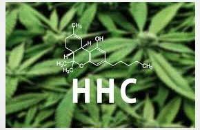 Germany: Amendment to the Narcotics Act: HHC and other substances newly regulated