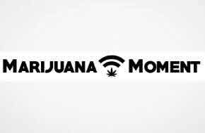 USA: Marijuana Moment Asks DEA Judge To Allow Livestreaming Of Rescheduling Hearing For Transparent Public Access