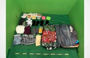 Hong Kong Customs seizes suspected cannabis buds at airport