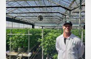 Second US cannabis company uplisted to NYSE, Glass House, to begin trading Tuesday