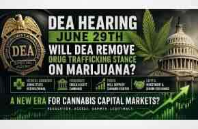 Marijuana Moment - DEA Hearings - Marijuana Opponents Attack Government Analysis Behind Rescheduling Recommendation On Second Day Of DEA Hearing
