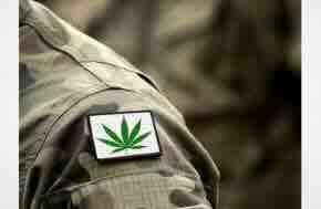 How Veterans Can Access Medical Cannabis in 2026