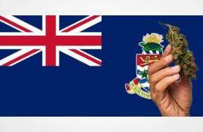 Op-Ed Cayman Islands: One view of the decriminalisation of cannabis