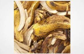 Grandmother caught smuggling cocaine in plantain peels