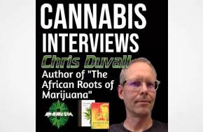 Article: Cash Crop: The Extractive Cannabis Industries Of the Global South