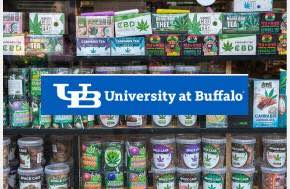 UB study finds New Yorkers lack understanding of cannabis product labels