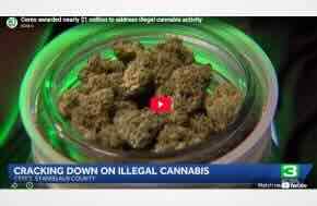 City of  Ceres awarded nearly $1 million to address illegal cannabis activity