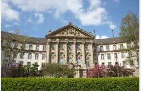 The Administrative Court of Cologne has banned the commercial trade of young cannabis plants in solid and hydroponic systems