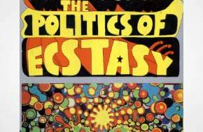 Article: Psychedelic Trips Can Halt Political Hate