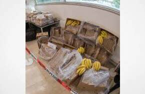 Italian police seize $285M cocaine hidden in banana shipment
