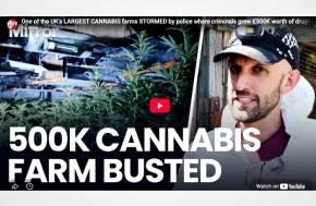 Daily Mirror: One of the UK’s LARGEST CANNABIS farms STORMED by police where criminals grew £500K worth of drugs