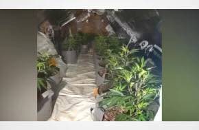 UK: Cannabis farm discovered in rooms above pub