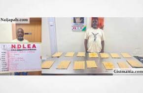 55-Year-Old Lagos Clothing Trader, Onuigbo Chinedu Arrested for Alleged Cocaine Trafficking to Britain