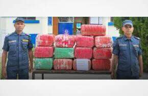Nepal: 140 kg marijuana seized from orchard in Parsa