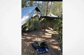 173,000 Illegal Cannabis Plants, 26 Guns Seized in Massive Mendocino County Enforcement Sweep, MCSO