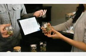 How to Choose the Right Cannabis Product for Your Needs