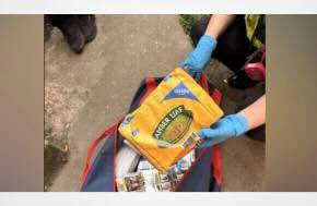 UK Officers raiding a shop in Lincolnshire were interrupted when a fresh delivery of cannabis plants arrived at the scene!