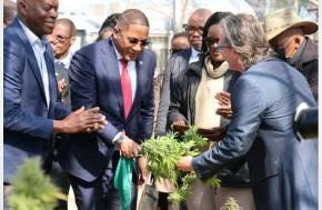 Press Release - Office of the President for the Republic of Botswana: Emerging Green Gold in Southern Africa (Botswana)