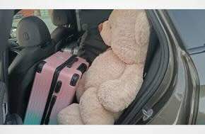 France - Jailed For Smuggling Cannabis In A Teddy Bear !