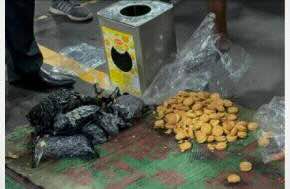 Sri Lanka Customs has seized over 10.6 kg of suspected hashish concealed inside metal containers in an air cargo consignment that arrived from Bangkok, Thailand.