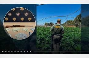Two people were arrested after authorities discovered an illegal marijuana cultivation operation containing approximately 2,000 plants in San Benito County, according to the Sheriff’s Office.