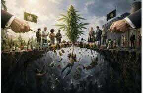 In the Cannabis Civil War, Consumers Lose