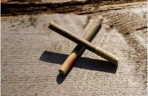 Infused and Hybrid Joints Control Nearly 75% of Canada's Pre-Roll Market