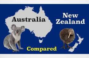 Article: Two countries, Australia & NZ, two different approaches to the use of medical psilocybin