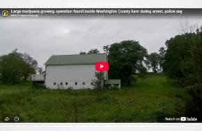 Large marijuana growing operation found inside Washington County barn during arrest, police say