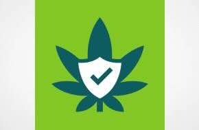 Staff Attorney Supervisor State of Minnesota - Cannabis Expungement Board Saint Paul, MN