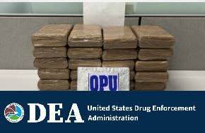 30 Kilos of Cocaine Seized from Mail Delivery Service Packages in New York City