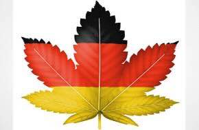 Article: Germany’s Medical Cannabis Insurance Reform Descends Into Chaos as Regulators Turn on Each Other