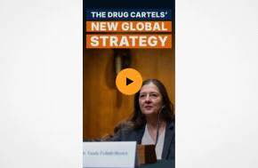 Extensive report on a network of Mexican cartels around the world and their expansion into various industries, as well as teaching local crime groups to expand there too