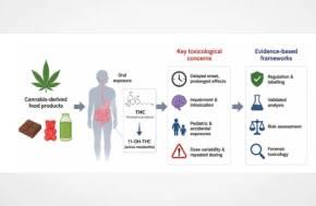 Paper: Cannabis-derived food products: a global review of THC exposure, safety and forensic frameworks