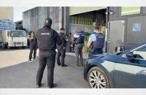 Operation Blackout: Police seize five tonnes of cannabis from Auckland grow houses