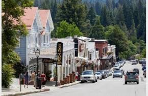 Psychedelic mushrooms to be considered as low-priority by law enforcement in Nevada City