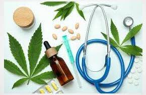 Latest updates on German medical cannabis health insurance inc decisions from social courts or Bayreuth & Frankfurt