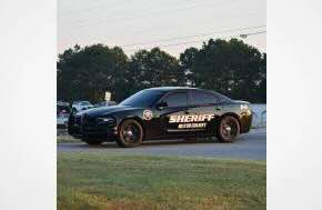 USA: Deputies stop truck carrying 1,800 pounds of marijuana bound for Florida, Georgia