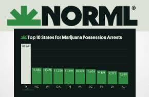 FBI: 60 Percent of All Cannabis Arrests Nationwide Occurred in These Ten States
