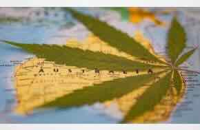 Project Twenty21 Australia: Results of a prospective observational study of patients prescribed medicinal cannabis for chronic pain, anxiety and post-traumatic stress disorder