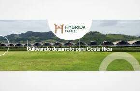 First Medical Cannabis Manufacturing Laboratory Launches In Costa Rica