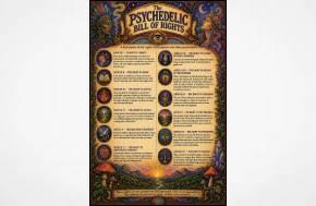 Chronicles of Kykeon: The Psychedelic Bill of Rights: Version 0.01