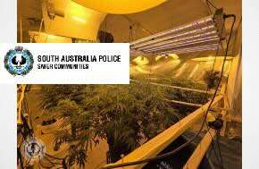 Two Arrested Following Investigation into Interstate Cannabis Trafficking Two Arrested Following Investigation into Interstate Cannabis Trafficking